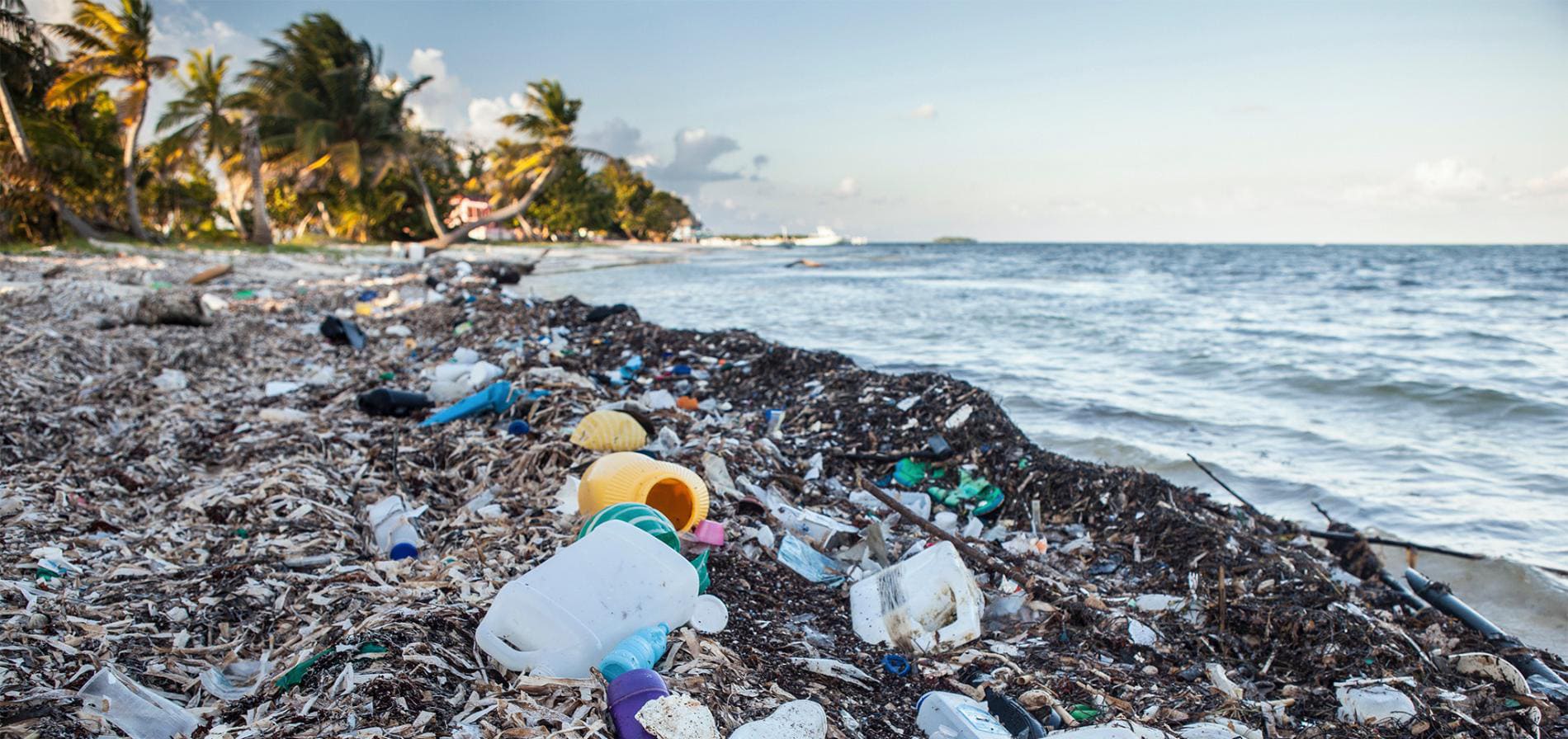 Plastic bottles packaging is extremely hazardous to mankind.